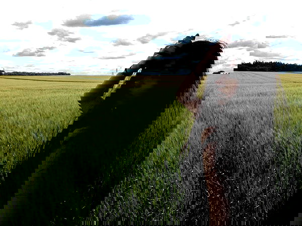 xeiyza image ~ Altpins