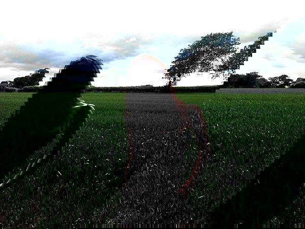 xeiyza image ~ Altpins