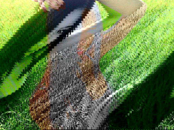 xeiyza image ~ Altpins