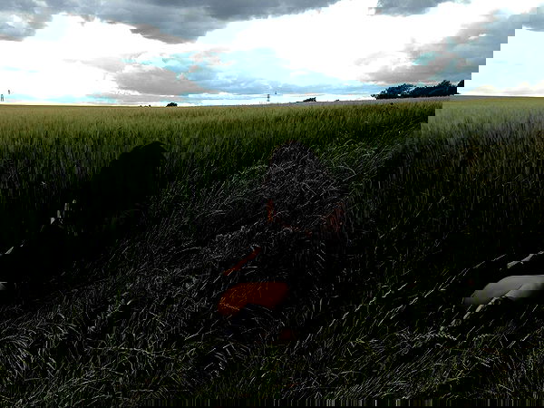 xeiyza image ~ Altpins