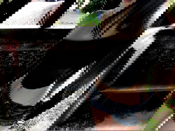 xeiyza image ~ Altpins