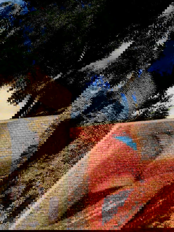 xeiyza image ~ Altpins