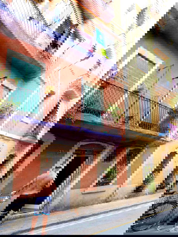 xeiyza image ~ Altpins