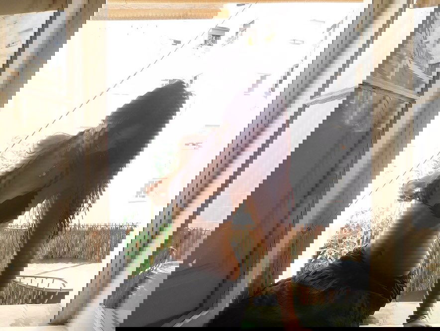 xeiyza instagram image archive image