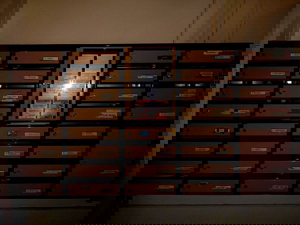 xeiyza image ~ Altpins