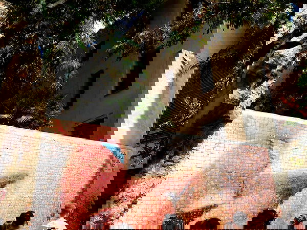 xeiyza image ~ Altpins