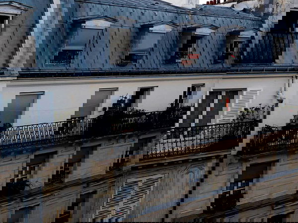 xeiyza image ~ Altpins