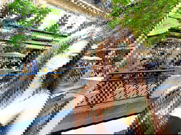 xeiyza image ~ Altpins