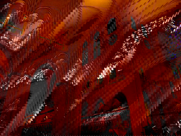 xeiyza image ~ Altpins