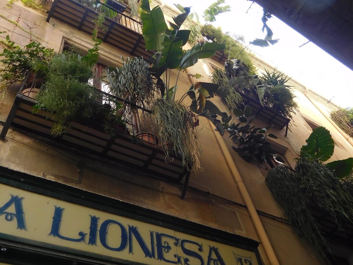 xeiyza instagram image archive image