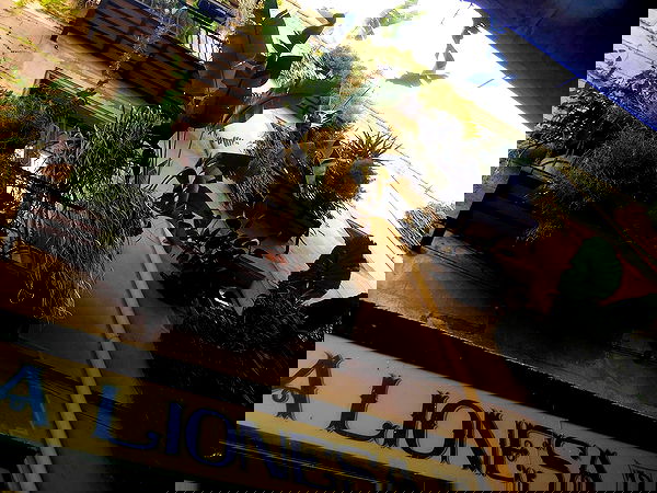 xeiyza image ~ Altpins