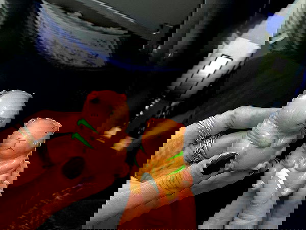 xeiyza image ~ Altpins