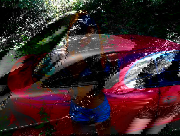 xeiyza image ~ Altpins