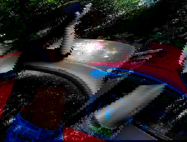 xeiyza image ~ Altpins