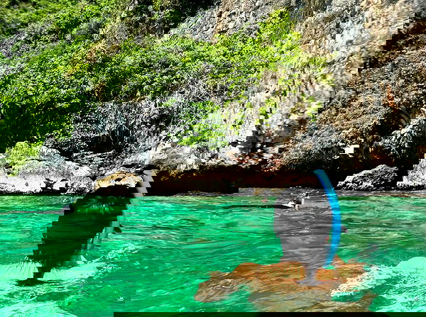 xeiyza image ~ Altpins