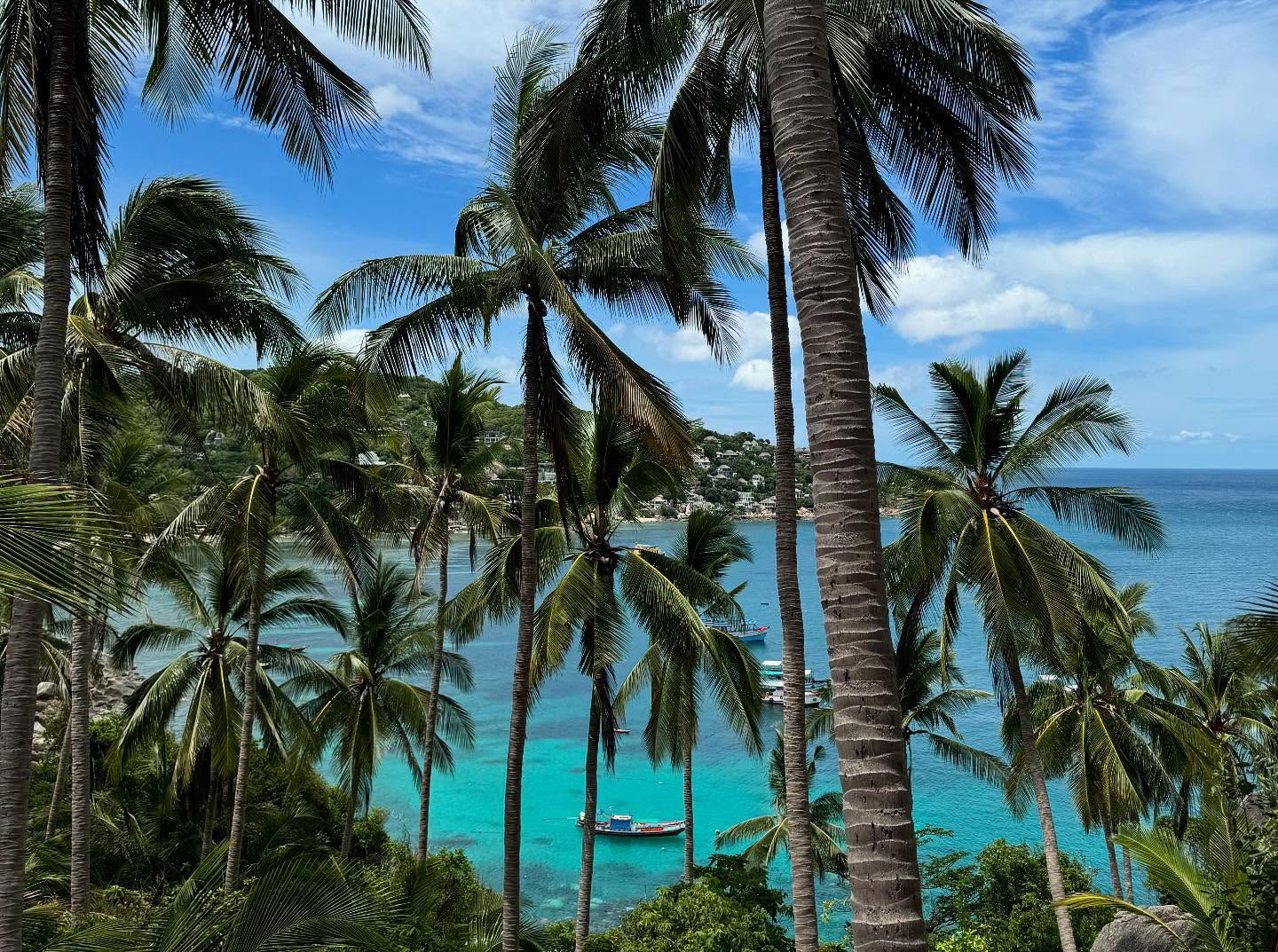 xeiyza instagram image archive image