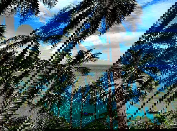 xeiyza image ~ Altpins