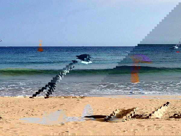 xeiyza image ~ Altpins