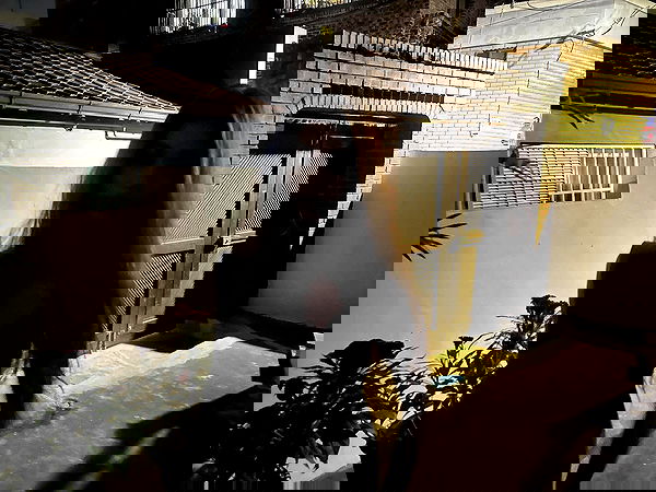 xeiyza image ~ Altpins