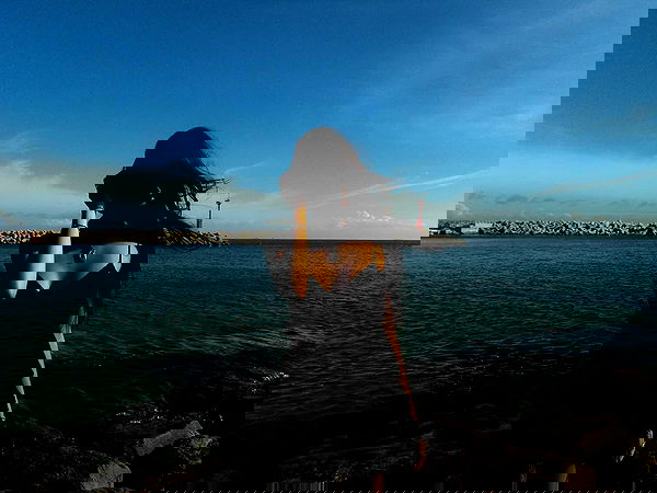 xeiyza image ~ Altpins