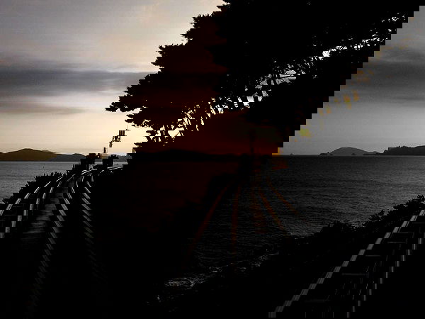 xeiyza image ~ Altpins