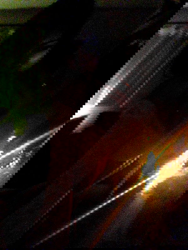 xeiyza image ~ Altpins