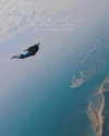 xialan1998 Altpins Profile Picture