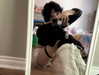 xskunkboyx Altpins Profile Picture