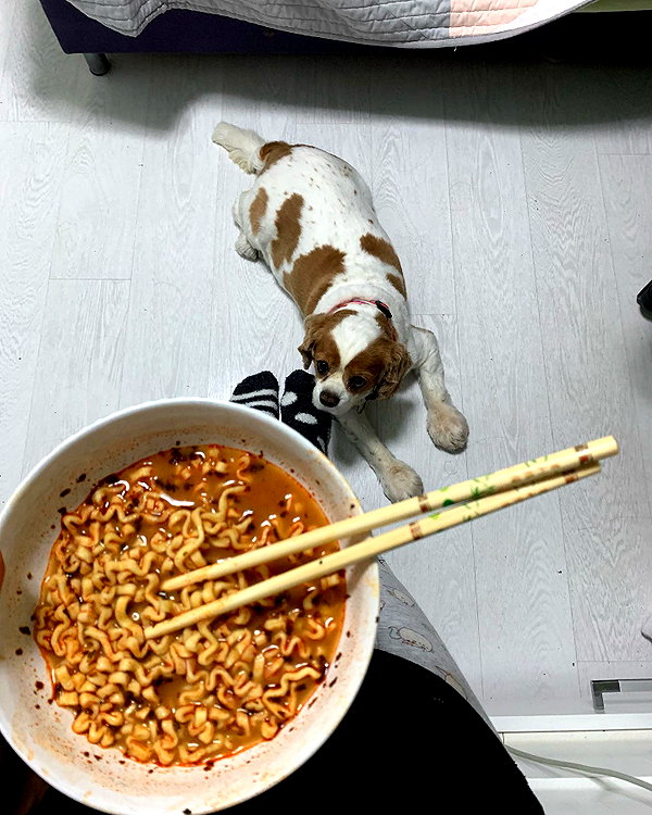 xsurio instagram image archive image