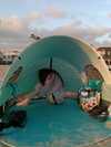 xunniexoo Altpins Profile Picture