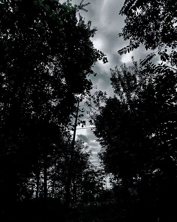 xylia444 instagram image archive image