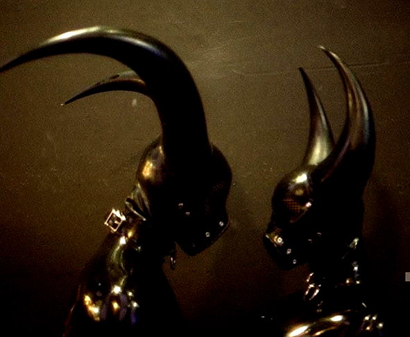xylia444 instagram image archive image