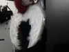 xylia444 Altpins Profile Picture