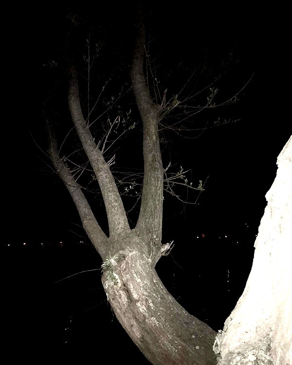 xylia444 instagram image archive image