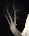 xylia444 Altpins Profile Picture