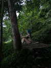 xylia444 Altpins Profile Picture