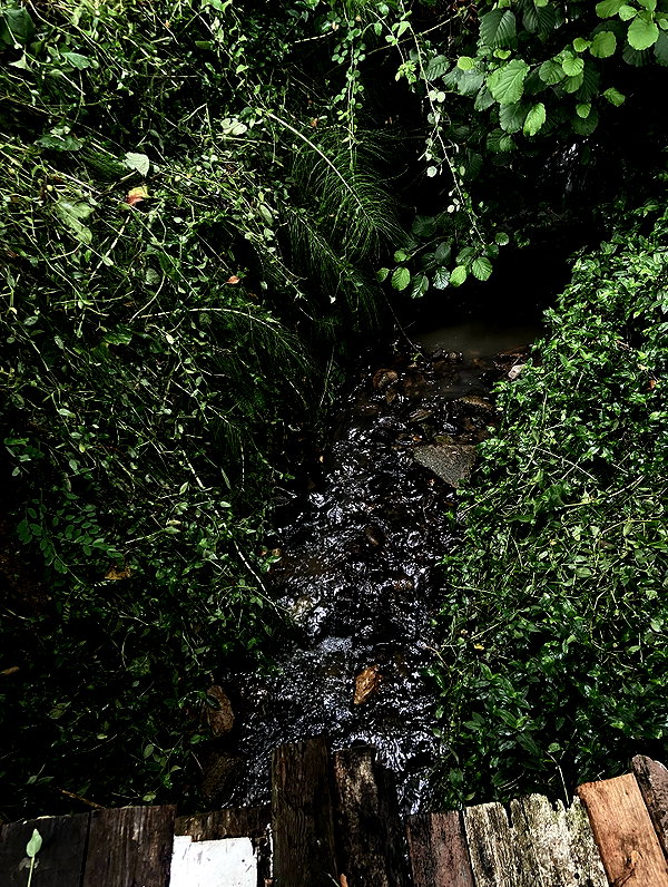 xylia444 instagram image archive image