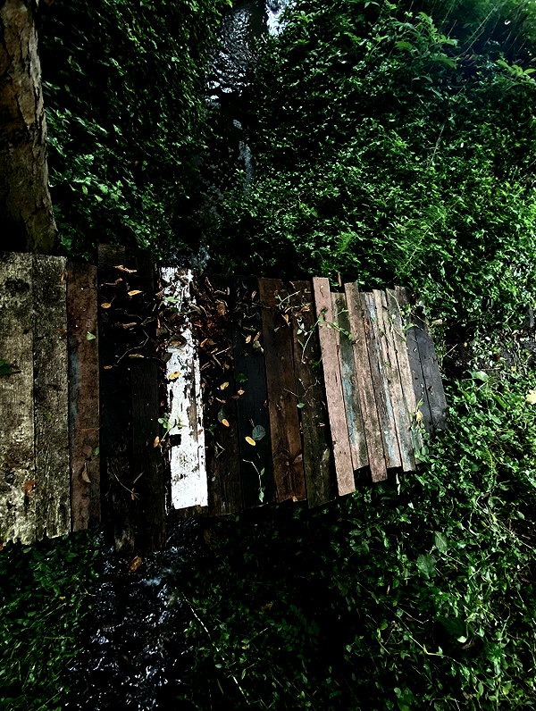 xylia444 instagram image archive image