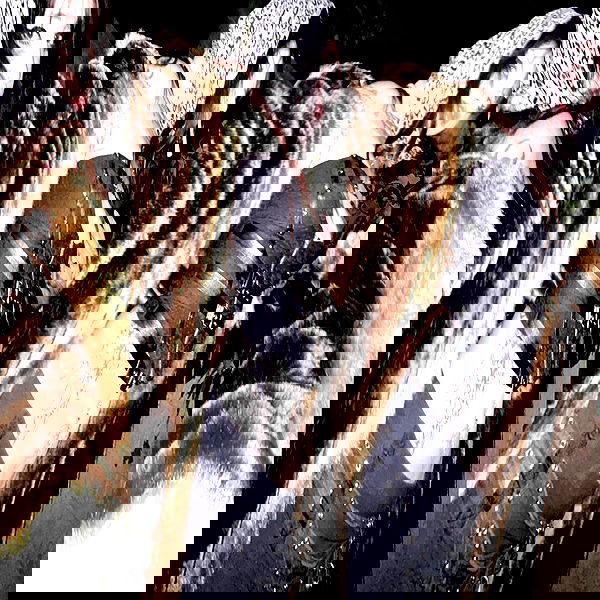 xzot1_met4xx image ~ Altpins