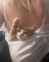 yael_p_16 Altpins Profile Picture