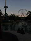 yael_p_16 Altpins Profile Picture