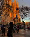 yahel_tubul Altpins Profile Picture