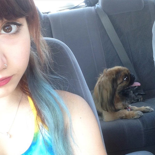 yam_adler instagram image archive image