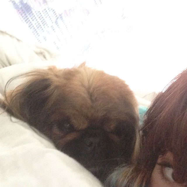 yam_adler instagram image archive image