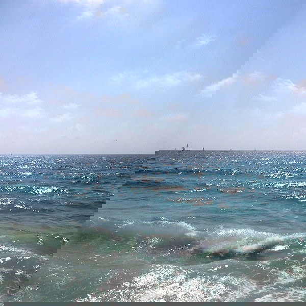 yam_adler image ~ Altpins