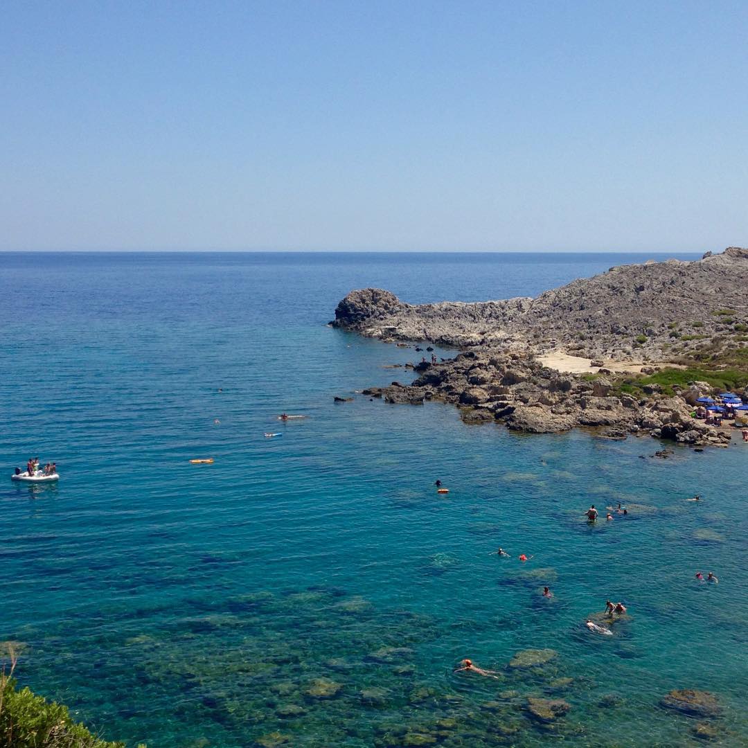 yam_adler instagram image archive image