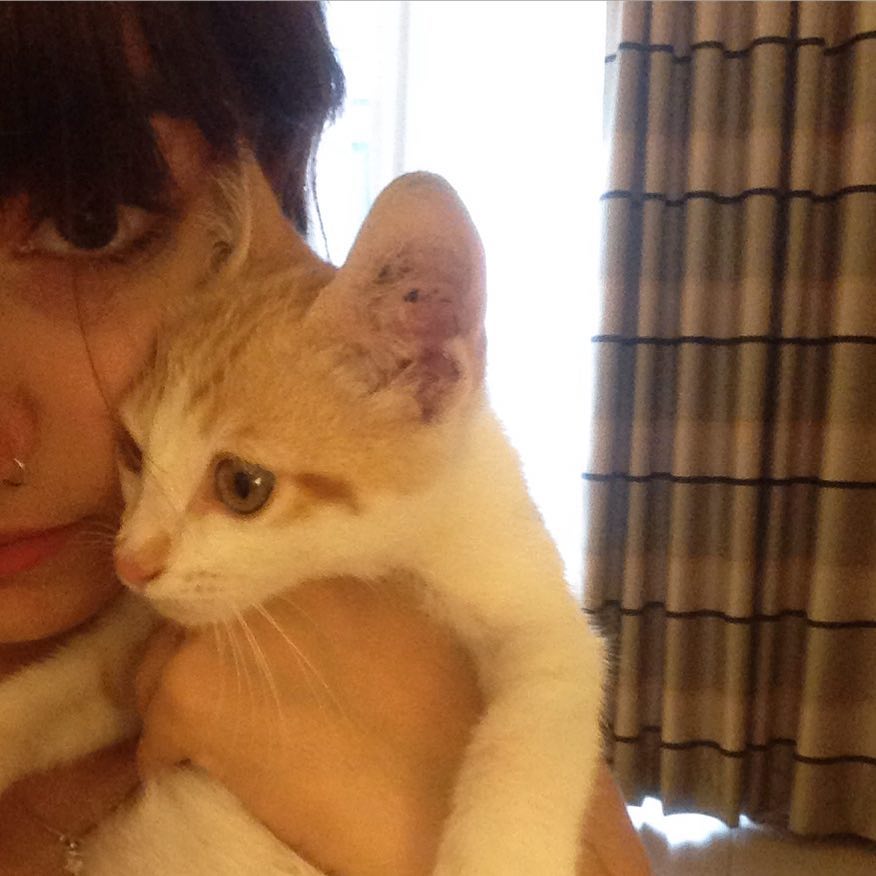 yam_adler instagram image archive image