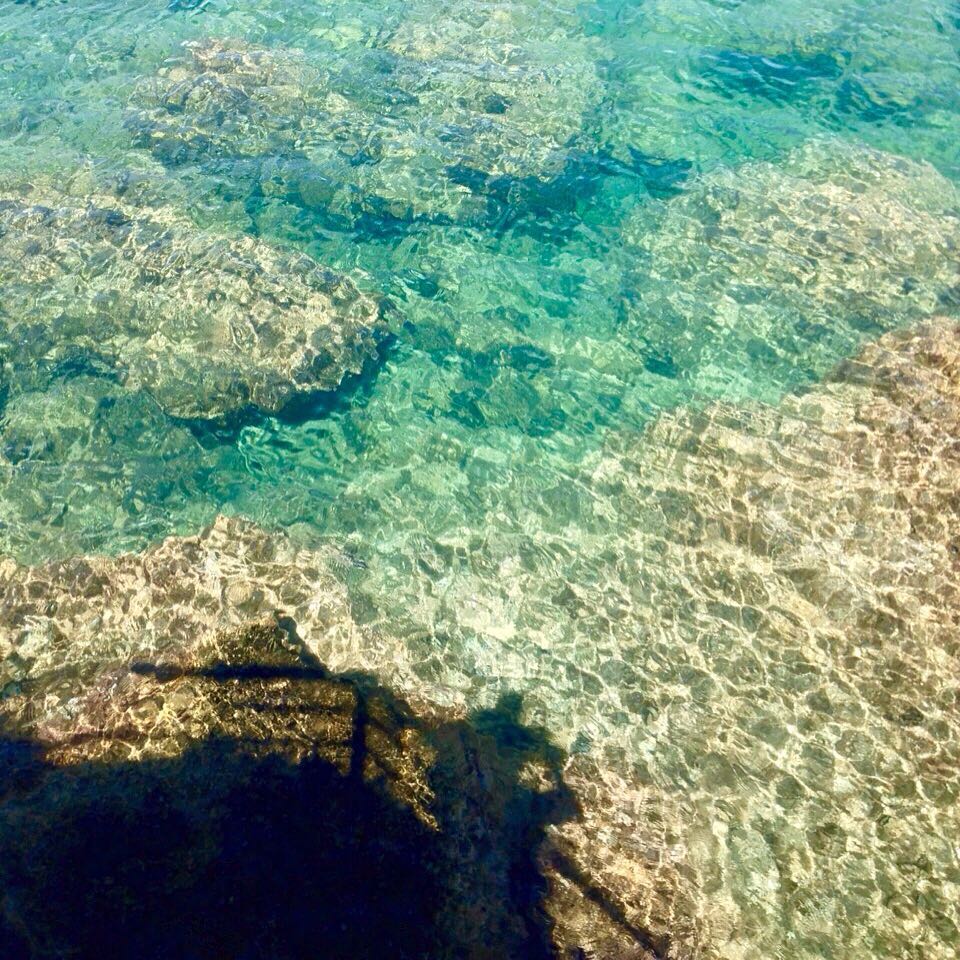 yam_adler instagram image archive image