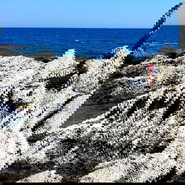 yam_adler image ~ Altpins