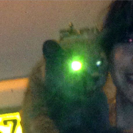 yam_adler image ~ Altpins